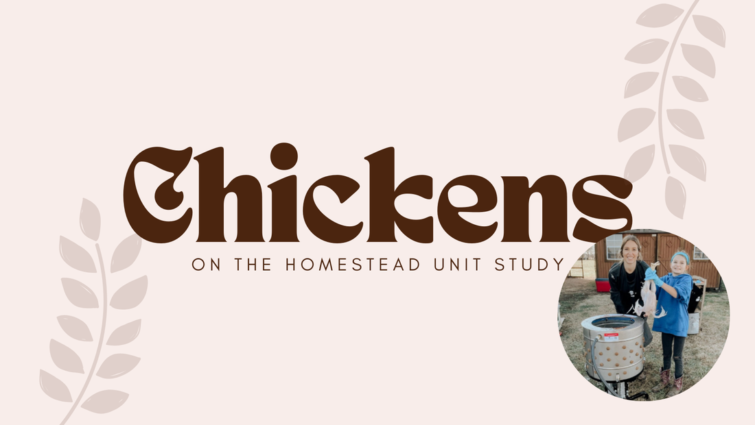 Bringing Chickens to Life with The Heritage Schoolhouse